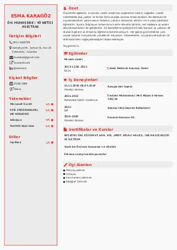 Yönetici Asistanı Cv Örnekleri cv indir